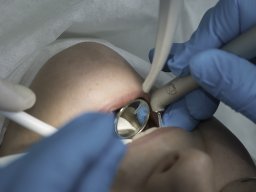 _DSC0666
