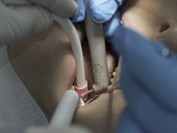 _DSC0668