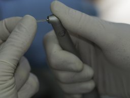 _DSC0671